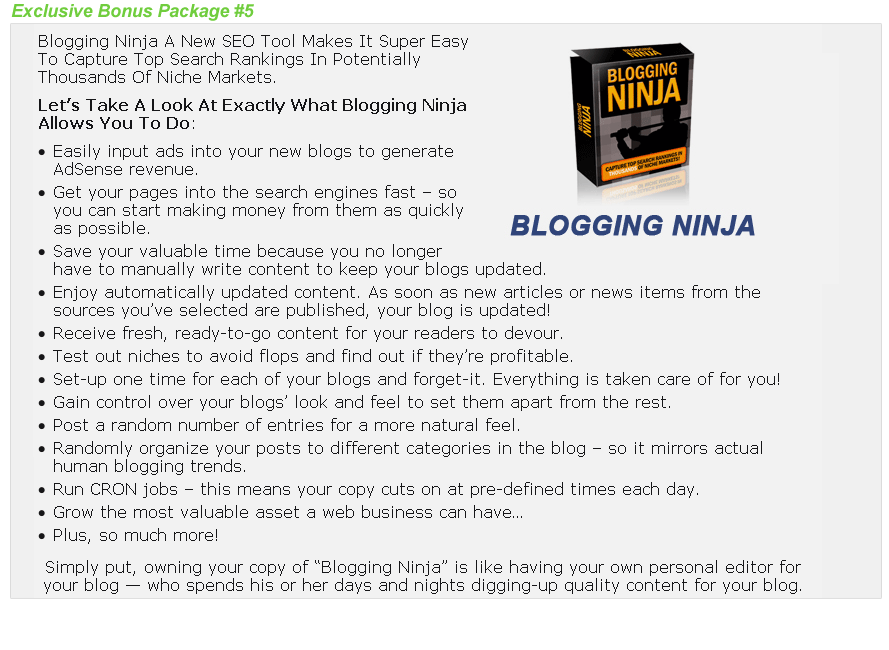 Blogging Ninja Mass Money Makers Bonus