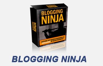 blogging ninja 
