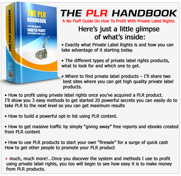 04 - CMM - PLR - Handbook Bonus