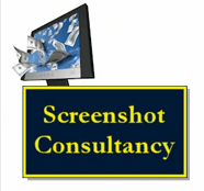My Millionaire Mentor 2011 - Screenshot Consultancy screenshot My Millionaire Mentor 2011 Review